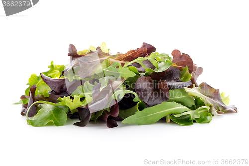 Image of Fresh salad mix