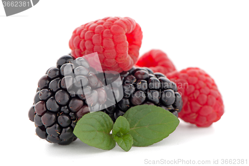 Image of Raspberries and blackberry with mint leaf