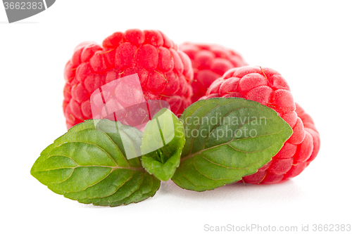 Image of Ripe raspberry with leaf