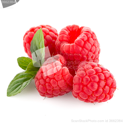 Image of Ripe raspberry with leaf