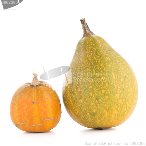 Image of Pumpkins