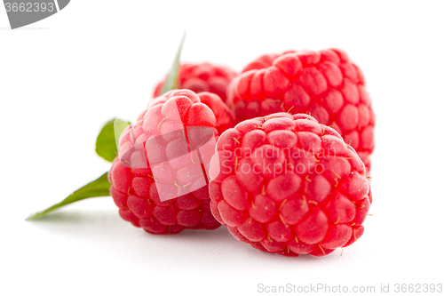 Image of Ripe raspberry with leaf