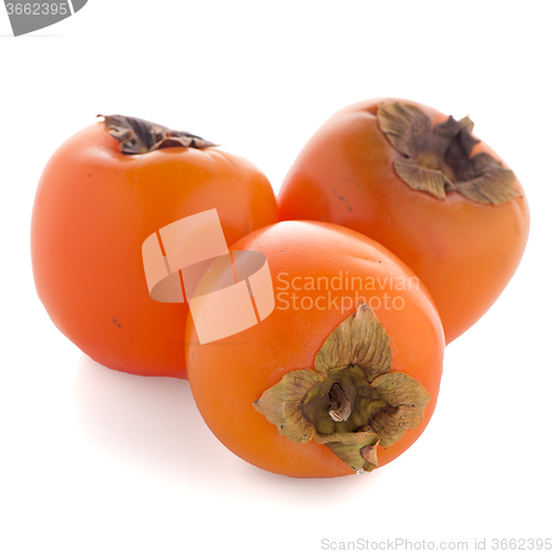 Image of Persimmon fruits