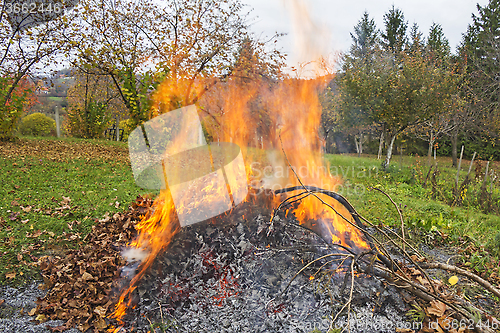 Image of Burning of garden waste