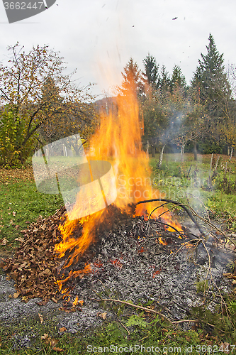 Image of Burning of garden waste