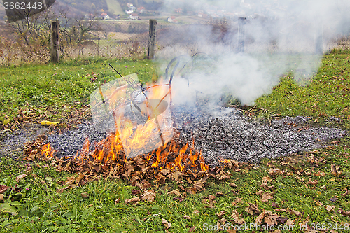 Image of Burning of garden waste