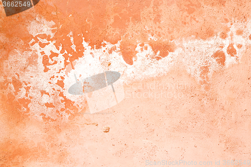 Image of pink in texture wall and    africa abstract