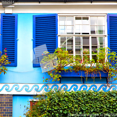 Image of notting   hill  area  in london   flowers
