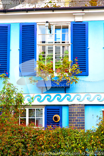 Image of notting   hill  area  in london   and flowers