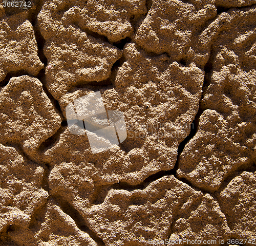 Image of texture rock abstraoke  stone and lichens 