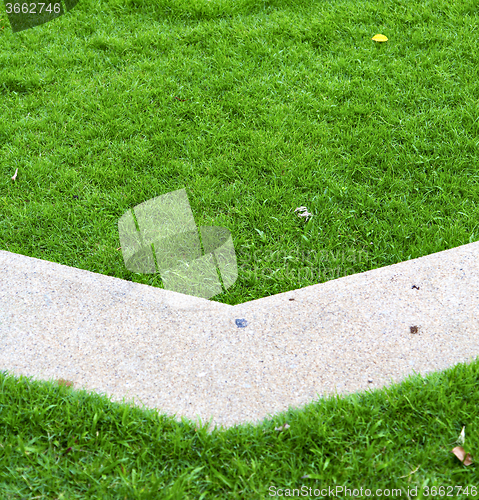 Image of thailand asia    garden grass in the  bangkok  