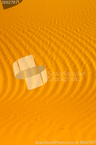 Image of the brown   dune in the sahara morocco desert 