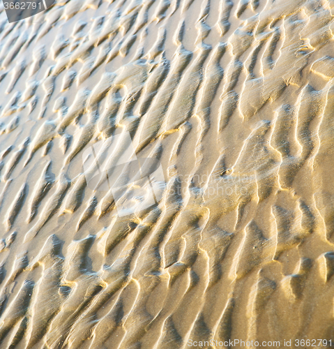 Image of dune morocco in africa brown coastline wet sand beach near atlan