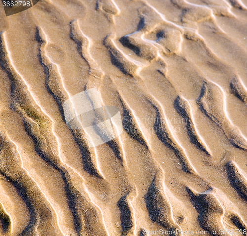 Image of dune morocco in africa brown coastline wet sand beach near atlan