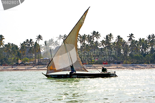 Image of     zanzibar seaweed  indian ocean    and sailing