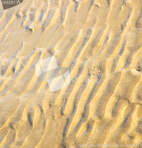 Image of dune morocco in africa brown coastline wet sand beach near atlan