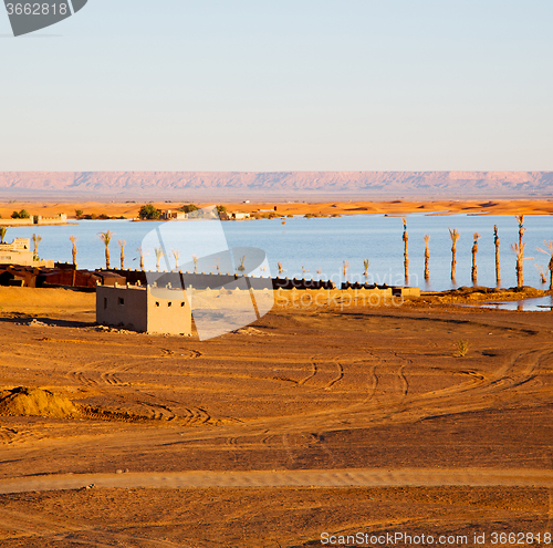 Image of sunshine in the lake yellow  desert of morocco sand and     dune