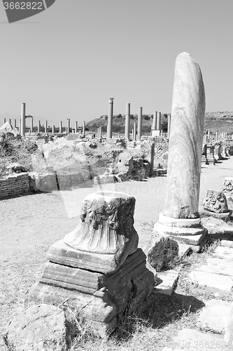 Image of perge old construction in asia turkey the column  and the roman 