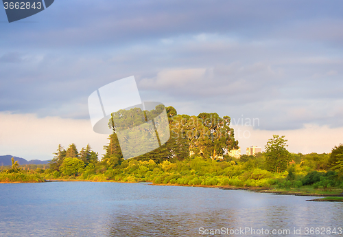 Image of Summer landscape with lake view