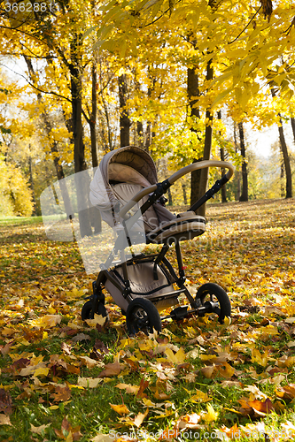 Image of stroller.  autumn season