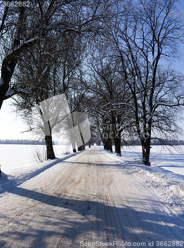 Image of winter road .  roadside.