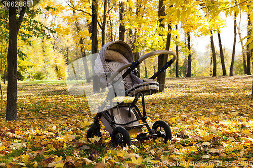 Image of stroller.  autumn season