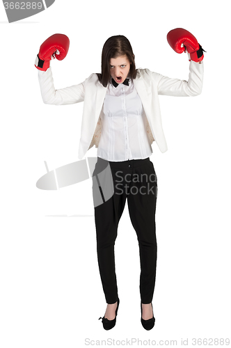 Image of Angry businesswoman shouts in boxing gloves