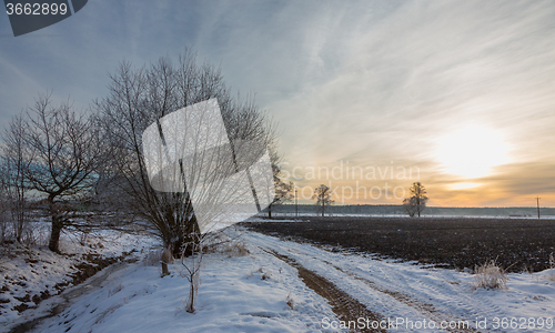 Image of Wintertime sunset over meadow