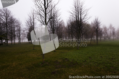 Image of Autumn park . morning