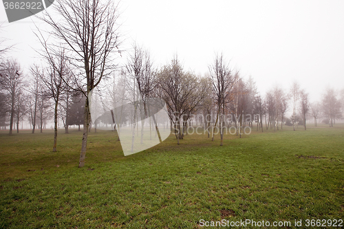 Image of Autumn park .  morning