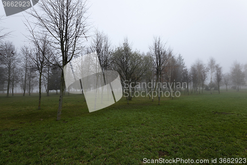 Image of Autumn park .  morning