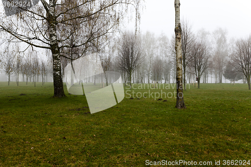 Image of Autumn park .  morning