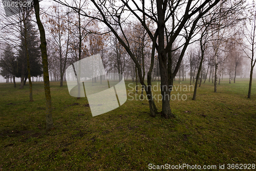 Image of Autumn park .  morning