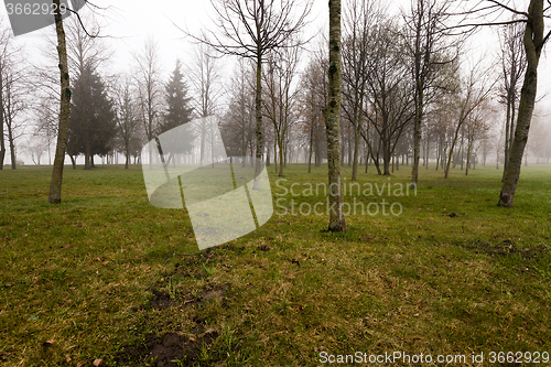 Image of Autumn park .  morning