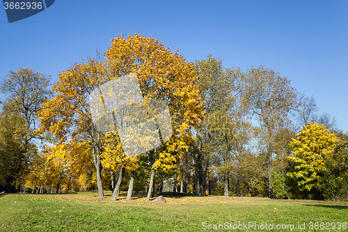 Image of autumn season . foliage