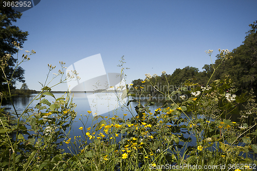 Image of flowers and water