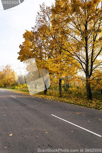 Image of Autumn road . country 