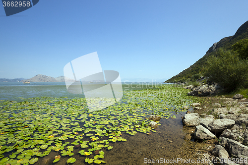 Image of the lake .  Montenegro  