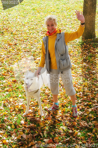 Image of  Woman with dog walking on a sunny autumn day