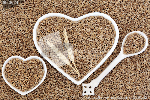 Image of Wheat