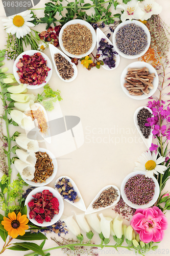 Image of Herbal Medicine Ingredients