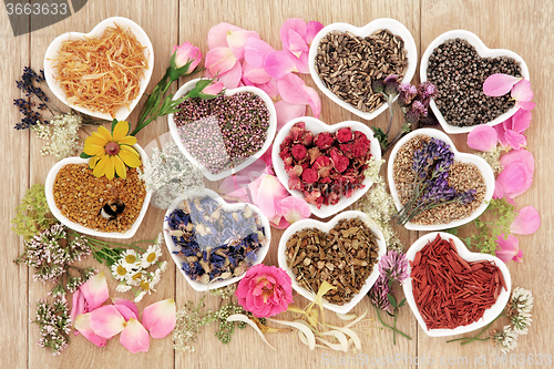 Image of Healing Herbs and Flowers