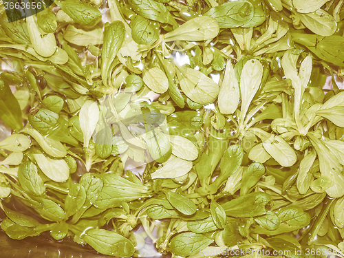 Image of Retro looking Green salad vegetables