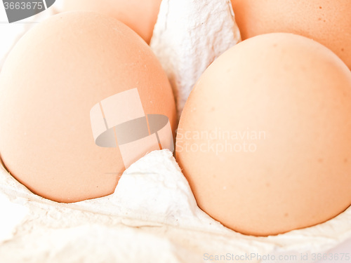 Image of Retro looking Eggs picture