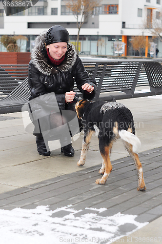 Image of The woman in a sheepskin coat irons a stray dog in the winter