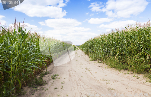 Image of road in a field 