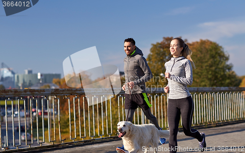 Image of happy couple with dog running outdoors