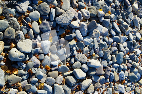 Image of Stone on the shore of lake Ontario.