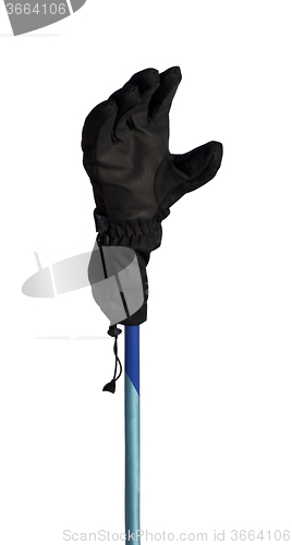 Image of Winter sport gloves on ski pole