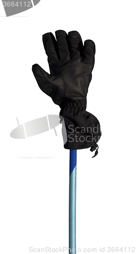 Image of Winter sport gloves on ski pole